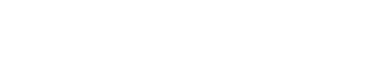 Business Plus